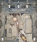 Защита картера двигателя, КПП МОТОДОР 01226 для Mercedes B-class W245